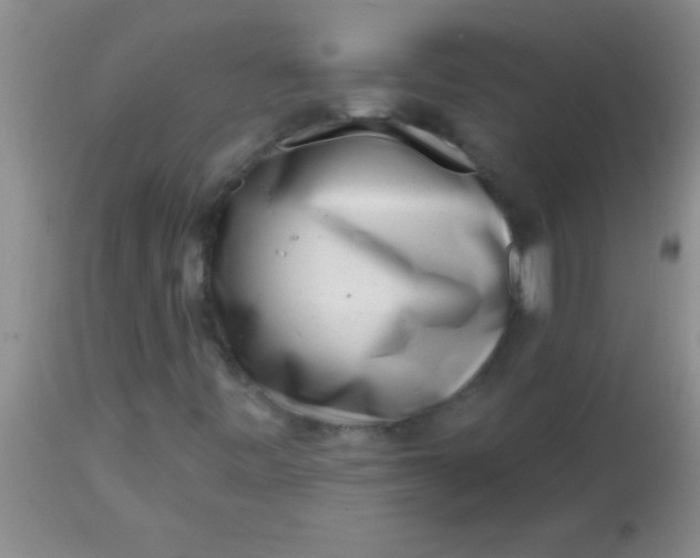 X0000113861443200910151225
