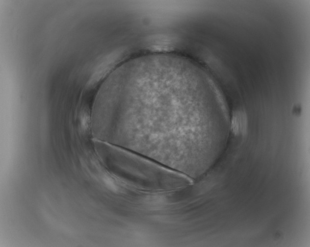 X0000113861444200910151225