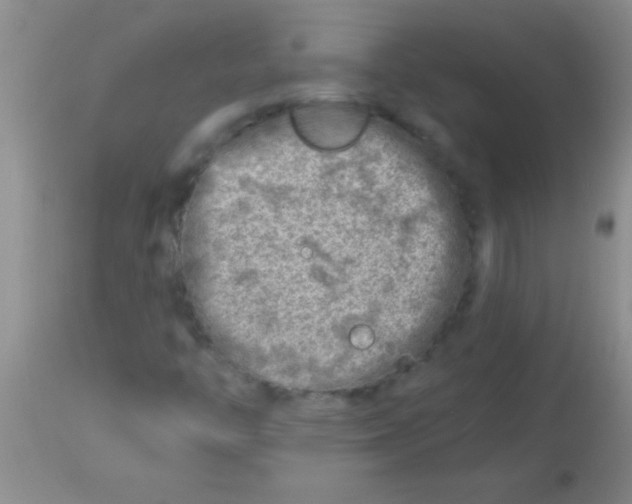 X0000113861446200910151225