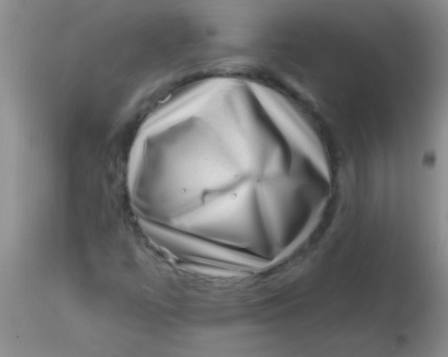 X0000113861447200910151225
