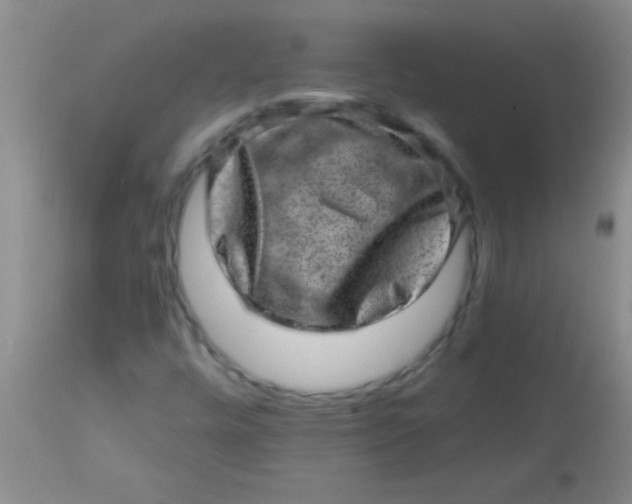 X0000113861448200910151225