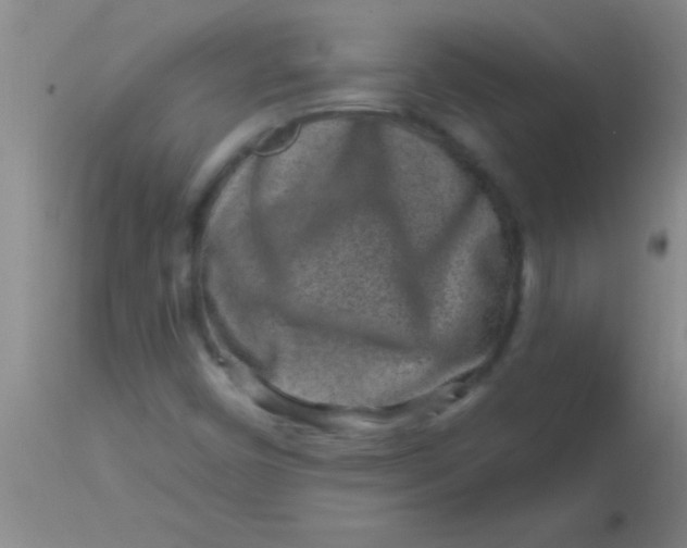 X0000113861450200910151224