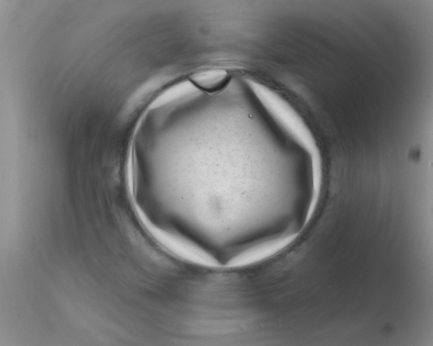 X0000113861451200910151224