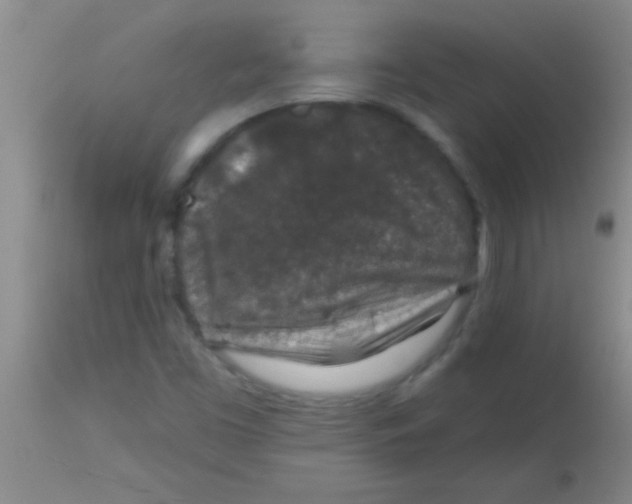 X0000113861453200910151224