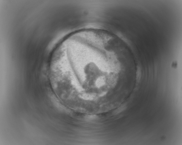 X0000113861454200910151224
