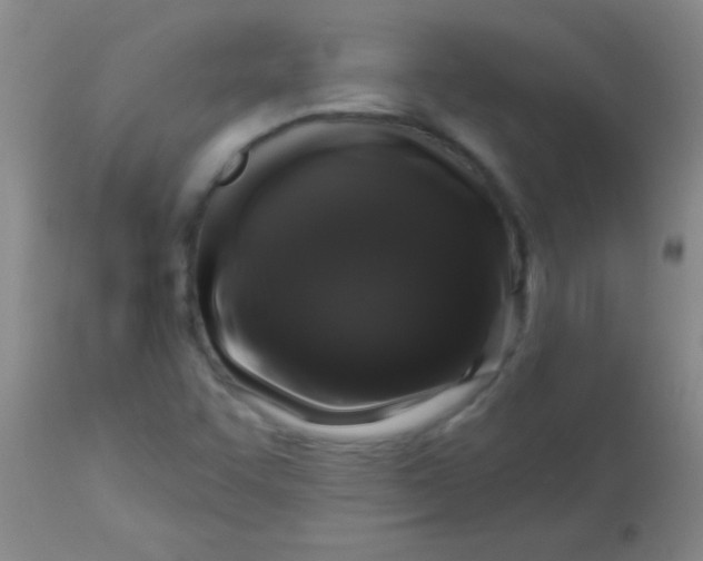 X0000113861455200910151224