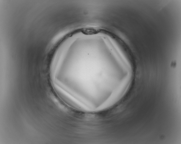X0000113861456200910151224