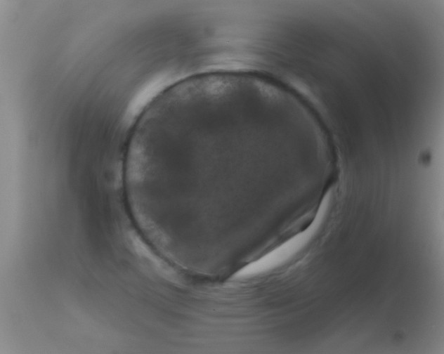 X0000113861459200910151224