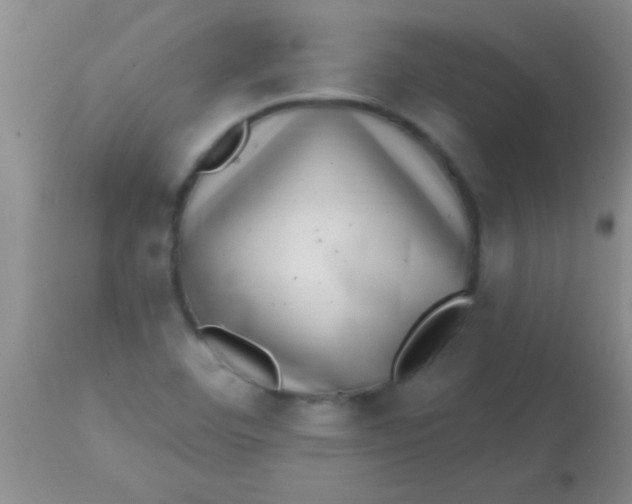 X0000113861460200910151224
