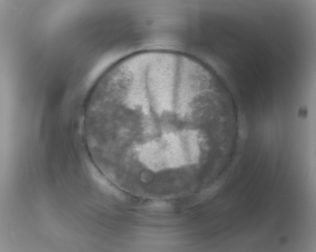 X0000113861462200910151224
