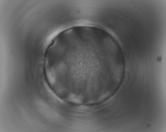 X0000113861463200910151224