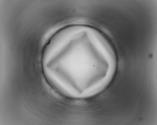 X0000113861464200910151224