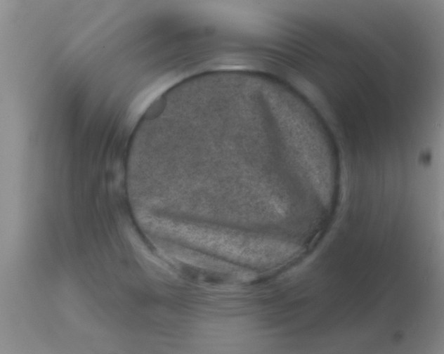 X0000113861465200910151224