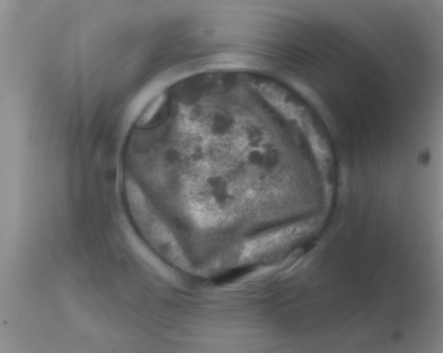 X0000113861467200910151224