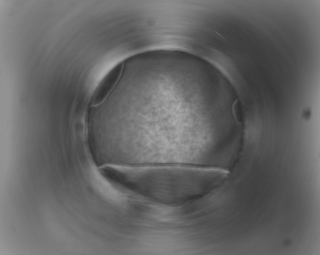 X0000113861468200910151224
