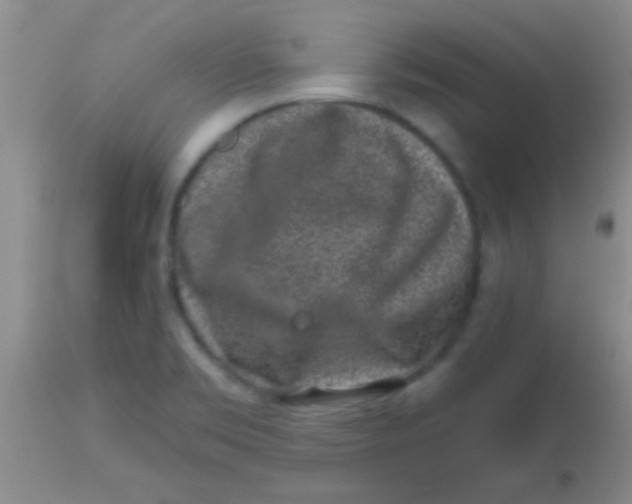 X0000113861469200910151224