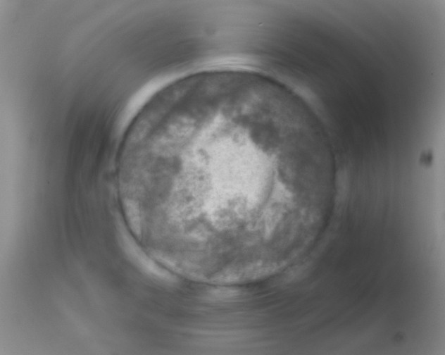X0000113861470200910151224