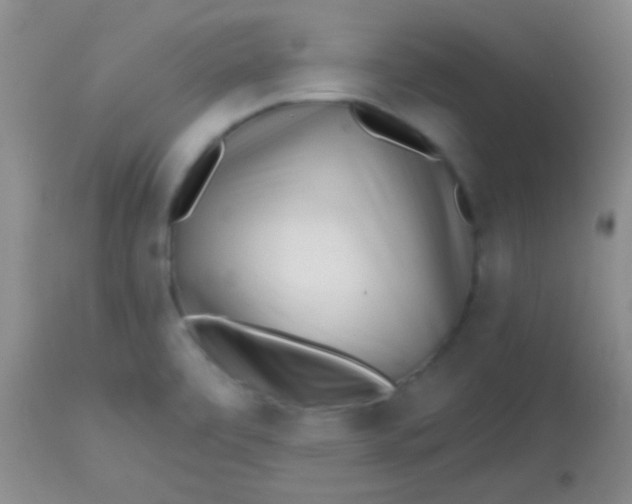 X0000113861472200910151224