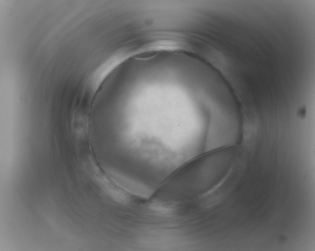 X0000113861473200910151224