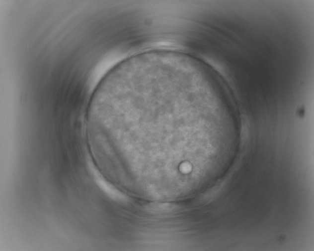 X0000113861474200910151224