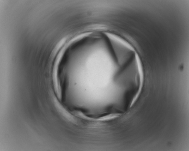 X0000113861475200910151224