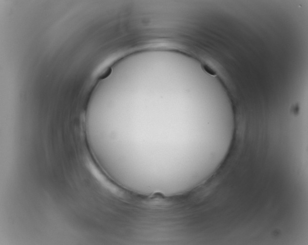 X0000113861476200910151224