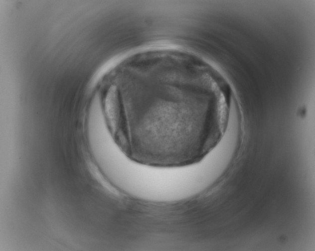 X0000113861477200910151224