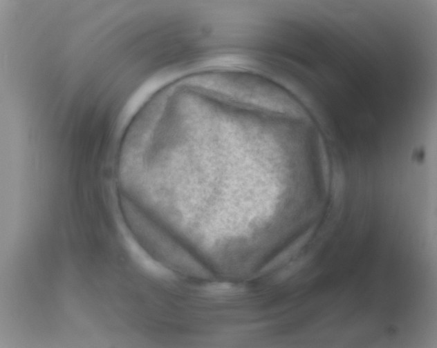 X0000113861478200910151224