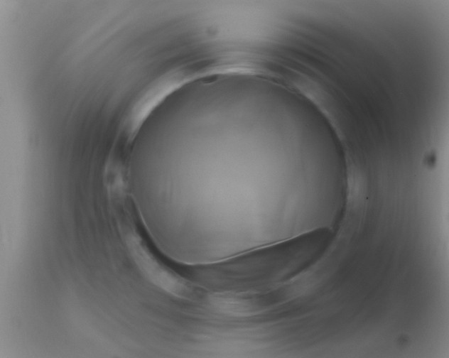 X0000113861481200910151224