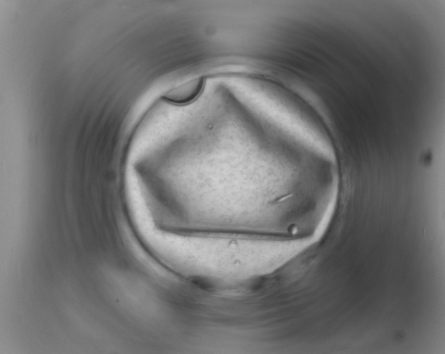 X0000113861483200910151224