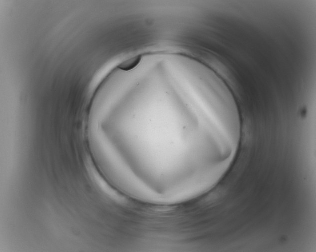 X0000113861484200910151224