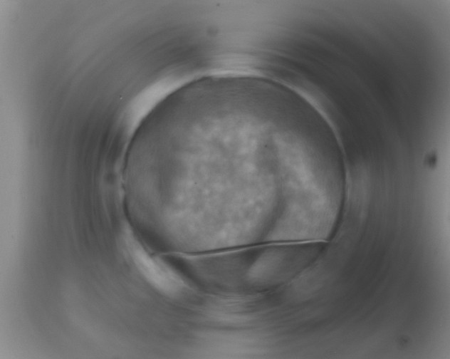 X0000113861485200910151224