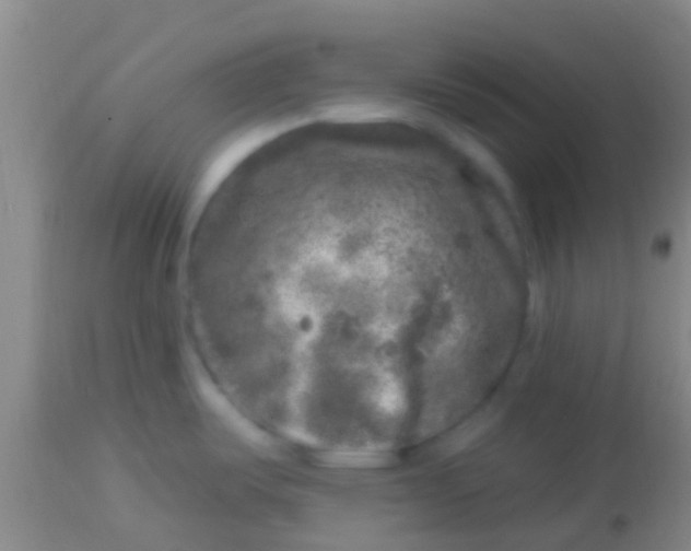 X0000113861487200910151224