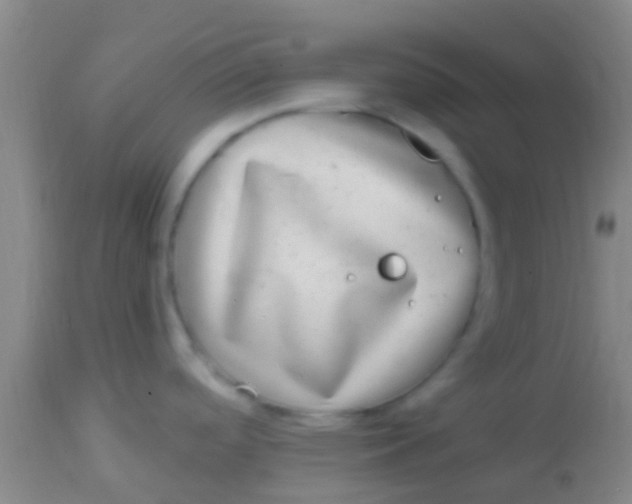 X0000113861488200910151224