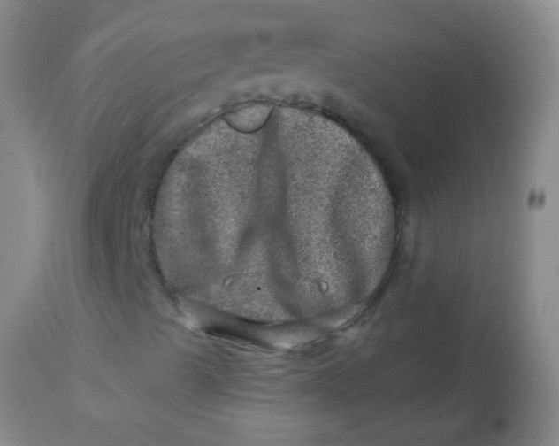 X0000113861489200910151223
