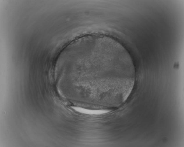 X0000113861490200910151223