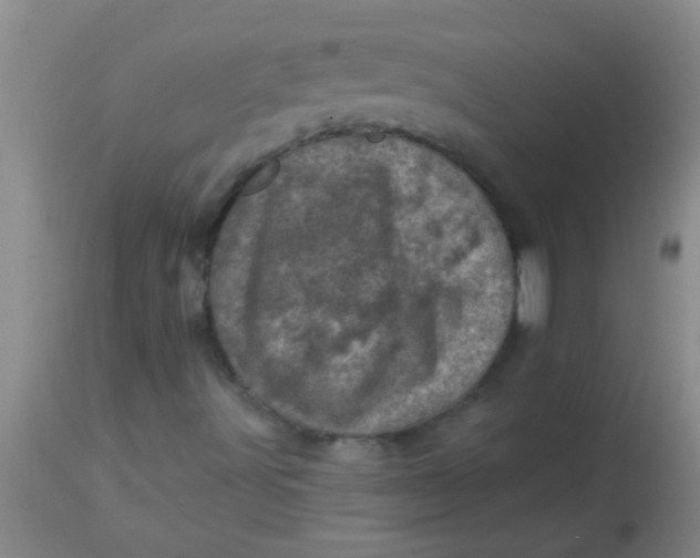 X0000113861491200910151223