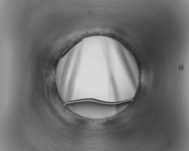 X0000113861492200910151223