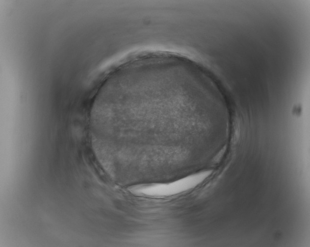 X0000113861494200910151223