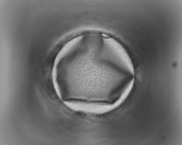 X0000113861495200910151223