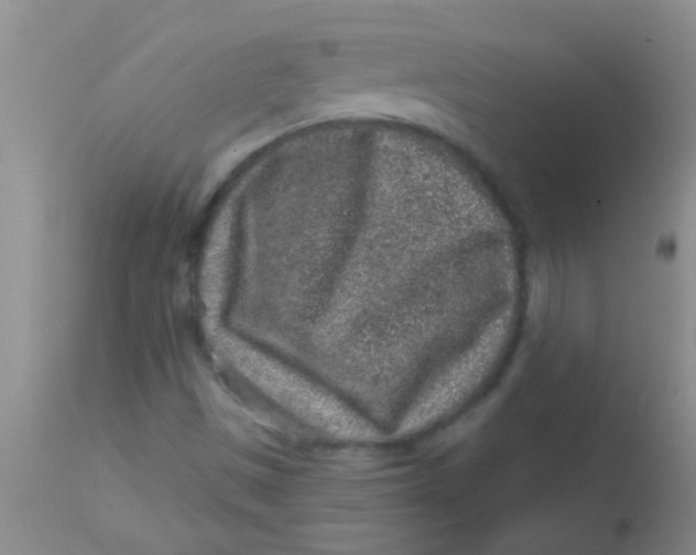 X0000113861497200910151223