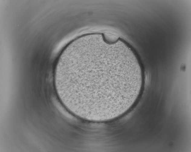 X0000113861498200910151223