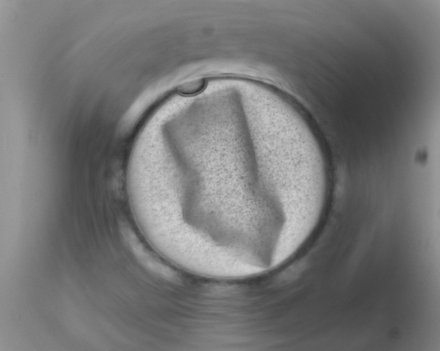 X0000113861499200910151223