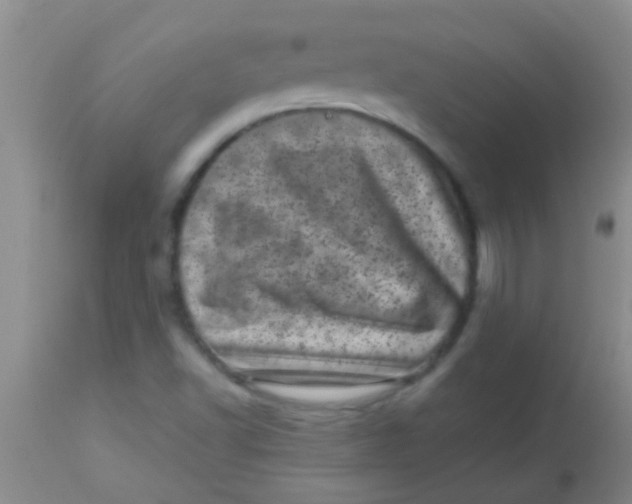 X0000113861502200910151223