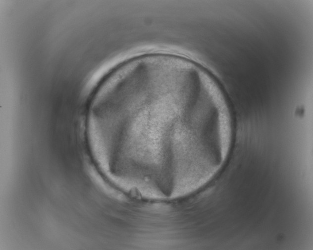 X0000113861503200910151223