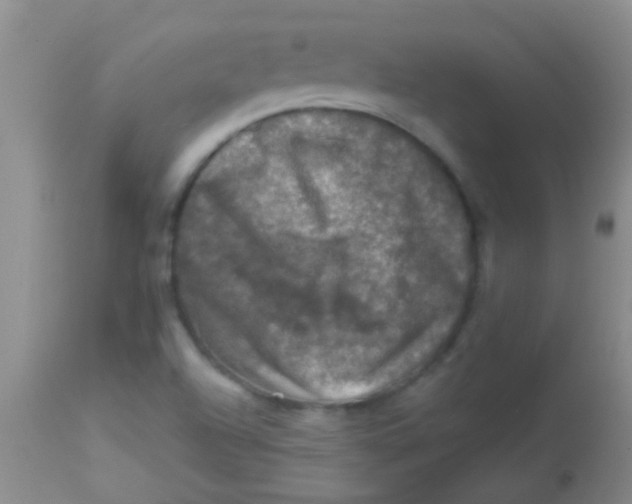 X0000113861504200910151223
