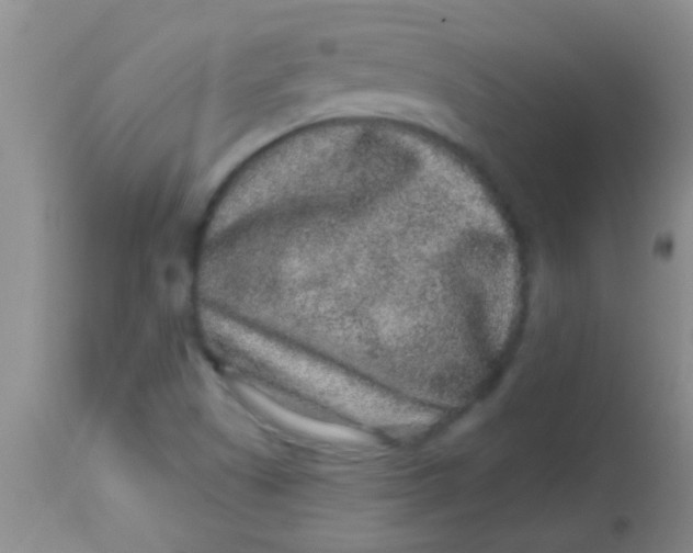 X0000113861505200910151223