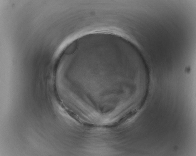 X0000113861506200910151223