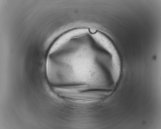 X0000113861507200910151223