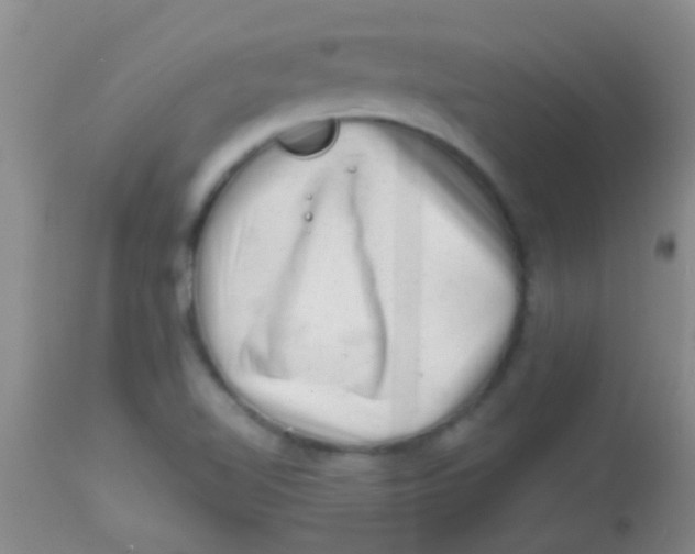 X0000113861510200910151223